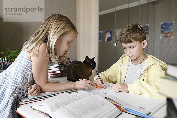 Bruder und Schwester mit einer Katze  die zu Hause am Tisch sitzen und gemeinsam Hausaufgaben machen