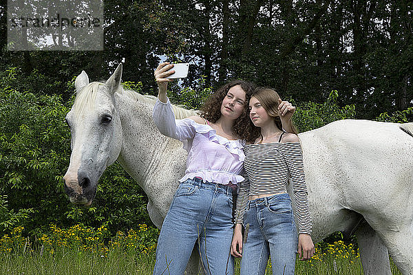 Zwei beste Freunde stehen vor einem Pferd  das sich mit einem Smartphone selbstständig macht