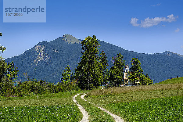 Deutschland  Oberbayern  Bayern  Halbinsel Zwergern  Walchensee  Feld und St. Margarethenkapelle mit Berg im Hintergrund