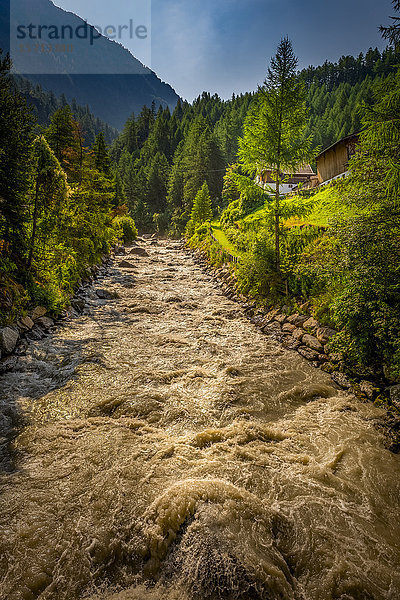 Gurgler Ache  Ötztal  Ötztaler Alpen  Österreich  Europa