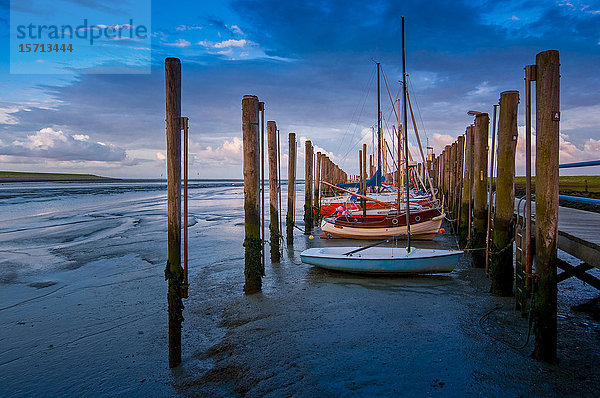 Segelboote  Hafen  Pellworm  Schleswig-Holstein  Deutschland  Europa