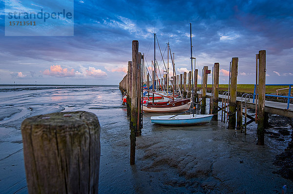 Segelboote  Hafen  Pellworm  Schleswig-Holstein  Deutschland  Europa