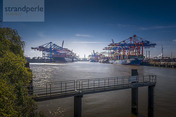 Waltershofer Hafen  Hamburg  Deutschland  Europa