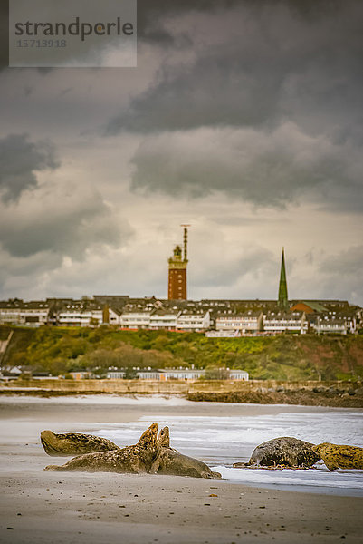 Leuchtturm  Helgoland  Schleswig-Holstein  Deutschland  Europa