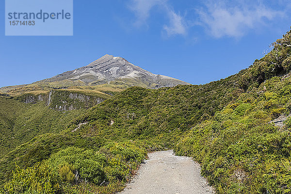 Neuseeland  Blick auf den Vulkan Mount Taranaki und den umliegenden Wald im Frühling