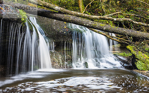 Deutschland  Baden-Württemberg  Kleiner Wasserfall im Schwäbisch-Fränkischen Wald