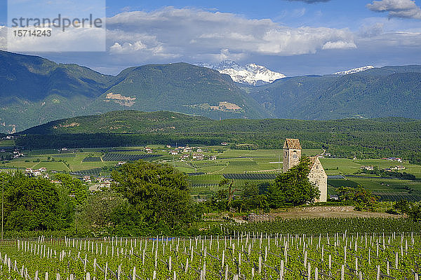 Italien  Südtirol  Eppan an der Weinstrasse  Frühlingsweinberge und Dörfer im Etschtal