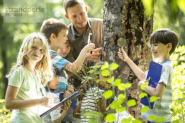 Schulkinder untersuchen mit ihrem Lehrer Baumrinde im Wald