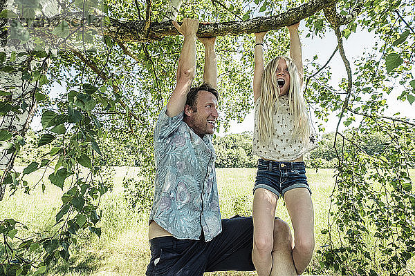 Vater und Tochter hängen an einem Birkenzweig