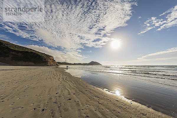Neuseeland  Südinsel  Tasmanien  Wharariki Beach