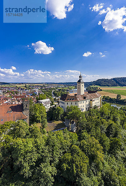 Deutschland  Baden-Württemberg  Odenwald  Gundelsheim  Luftaufnahme von Schloss Horneck