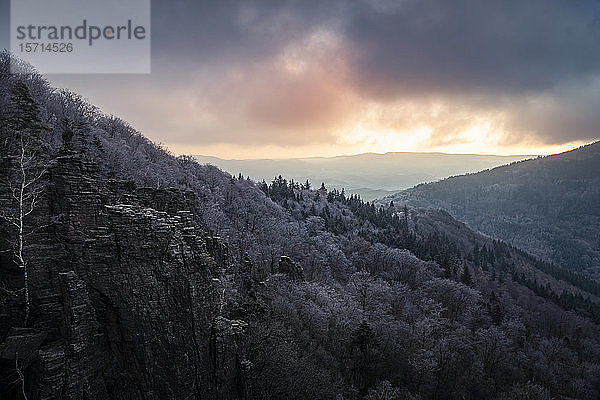 Sonnenaufgang am Battert Rock im Winter  Baden-Baden  Deutschland