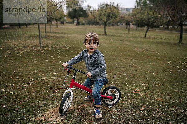 Porträt eines kleinen Jungen mit Drehgestellrad auf einer Herbstwiese