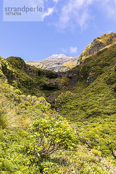 Neuseeland  Tiefblick auf den Vulkan Mount Taranaki im Frühling