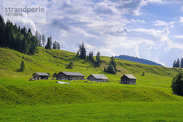 Deutschland  Schwaben  Vorarlberg  Bregenzerwald  Allgäu  Oberallgau  Lecknertal  Almen mit Hütten