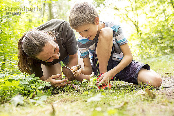Junge und Fleischer untersuchen Pilze in der Natur