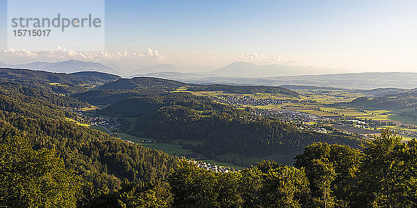 Schweiz  Kanton Zürich  Stallikon  Panorama der Städte im bewaldeten Tal des Bezirks Affoltern vom Gipfel des Uetlibergs aus gesehen