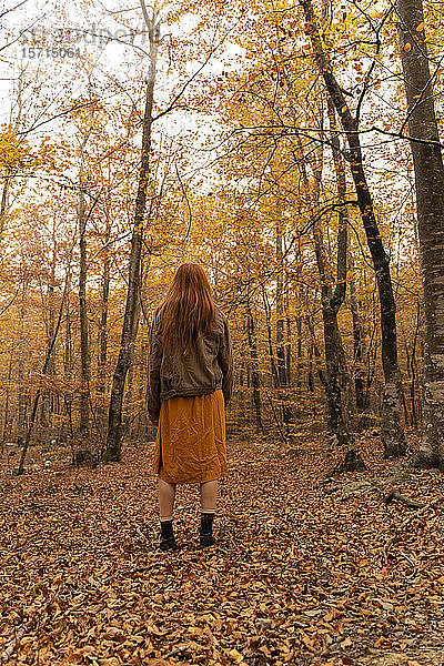 Rückenansicht einer rothaarigen jungen Frau  die im Herbstwald steht