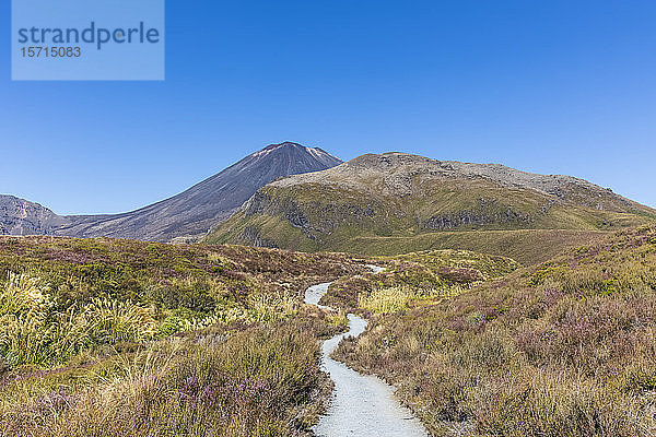 Neuseeland  Distrikt Ruapehu  Leerer Fussweg zum Vulkan Mount Ngauruhoe