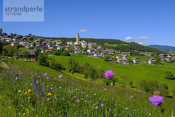 Italien  Südtirol  Jenesien  Grüne Frühlingswiese vor der Landstadt