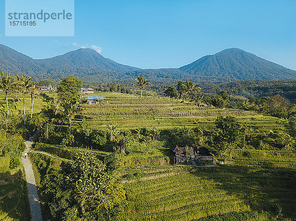 Indonesien  Bali  Luftaufnahme der Reisterrasse von Jatiluwih