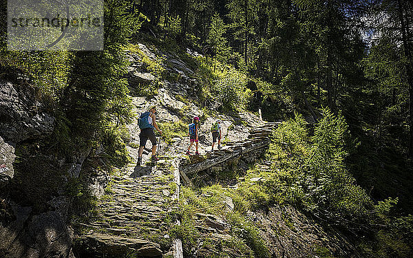 Mutter mit zwei Kindern beim Wandern in alpiner Landschaft  Passeiertal  Südtirol  Italien