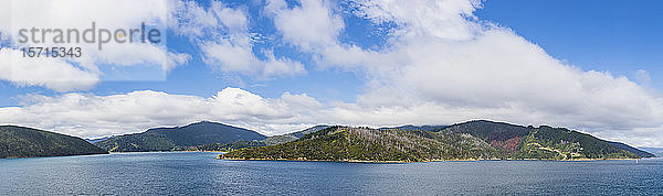 Neuseeland  Marlborough Region  Picton  Panorama von weißen Sommerwolken über den Marlborough Sounds