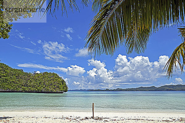 Palau  Rock Island  Tropischer Strand