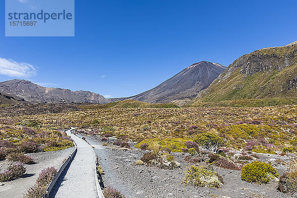 Neuseeland  Distrikt Ruapehu  Leerer Fussweg zum Vulkan Mount Ngauruhoe