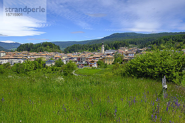 Italien  Trentino  Fondo  Grüne Frühlingswiese vor der Stadt auf dem Land