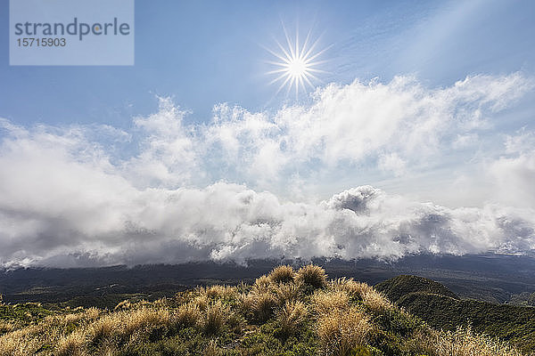 Neuseeland  Sonne scheint über Gipfel im Egmont-Nationalpark