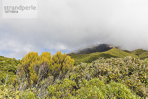 Neuseeland  Dicke Wolken über der grünen Flora des Vulkans Mount Taranaki