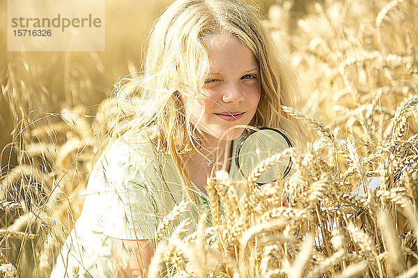 Kleines Mädchen untersucht Weizenähren im Feld  mit Lupe