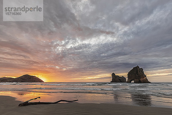 Neuseeland  Südinsel  Tasmanien  Wharariki Beach und Archway Islands bei Sonnenuntergang