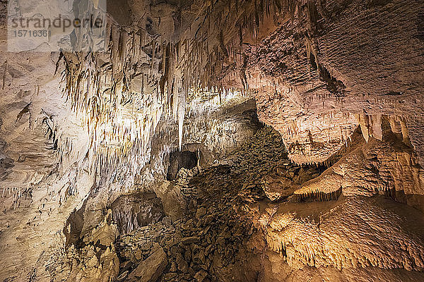 Neuseeland  Ozeanien  Nordinsel  Waitomo-Höhlen  Ruakuri-Höhle  Stalaktiten und Kalksteinformationen in der Höhle