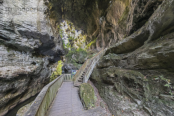 Neuseeland  Ozeanien  Nordinsel  Waitomo  Mangapohue Natural Bridge Walk  Mangapohue Natural Bridge