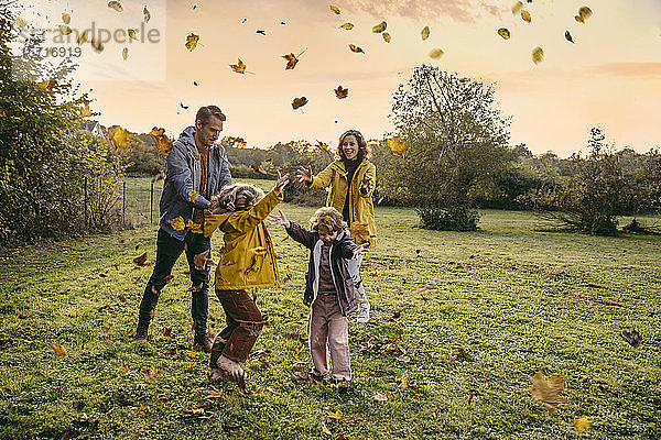 Glückliche Familie spielt mit Herbstblättern auf einer Wiese