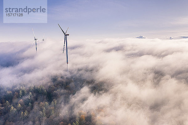 Deutschland  Baden-Württemberg  Goldboden  Windpark in Herbstnebel gehüllt