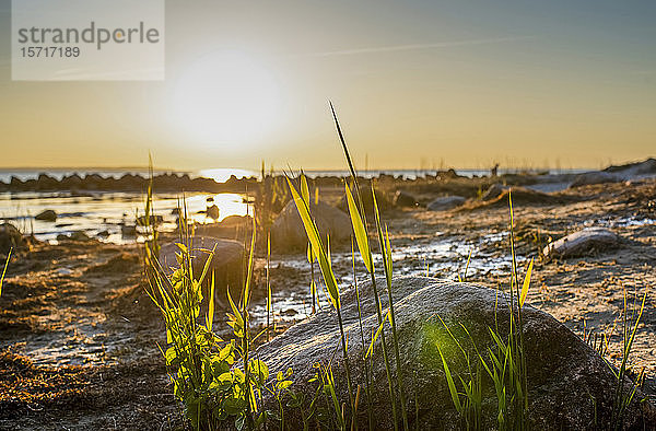 Deutschland  Mecklenburg-Vorpommern  Insel Poel  Timmendorf  Strand bei Sonnenuntergang