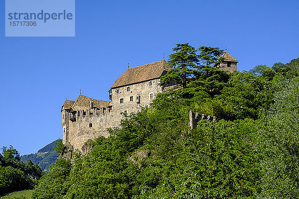 Italien  Südtirol  Sarntal  Grüne Bäume gegen Schloss Runkelstein