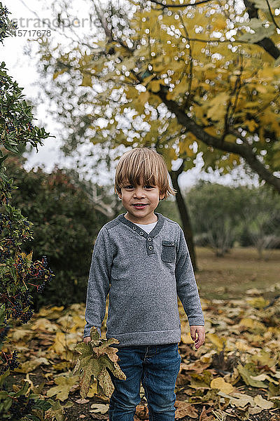 Porträt eines kleinen Jungen  der im Herbst Blätter sammelt