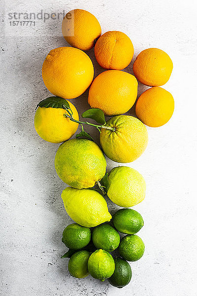 Reife Zitrusfrüchte von orange bis grün angeordnet