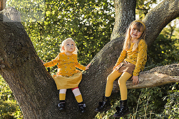 Zwei kleine gelb gekleidete Mädchen sitzen auf einem Baumstamm