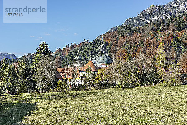 Deutschland  Bayern  Garmisch-Partenkirchen  Wald um die Abtei Ettal im Herbst