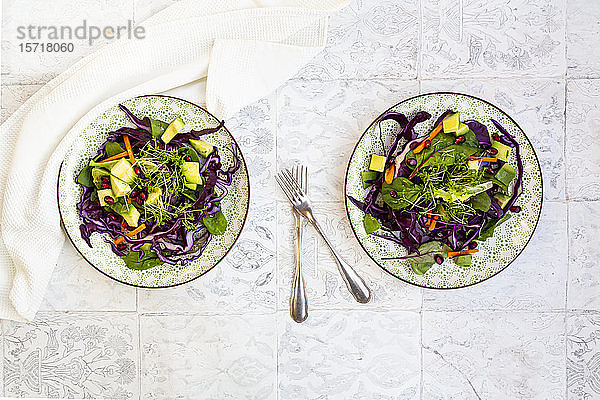 Salat mit Rotkohl  Karotten  Salatblättern  Avocado  Granatapfelkernen und Kresse