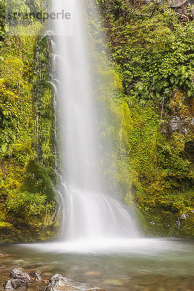 Neuseeland  Langzeitbelichtung des Wasserfalls Dawson Falls im Egmont Nationalpark