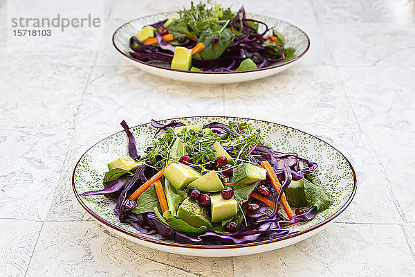 Salat mit Rotkohl  Karotten  Salatblättern  Avocado  Granatapfelkernen und Kresse
