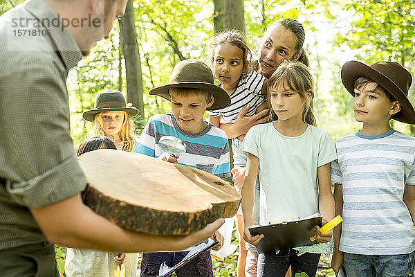 Schulkinder untersuchen Jahresringe eines Baumstammes