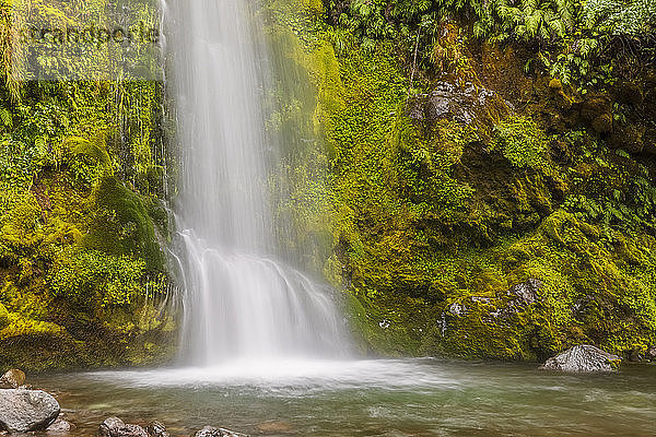 Neuseeland  Langzeitbelichtung des Wasserfalls Dawson Falls im Egmont Nationalpark