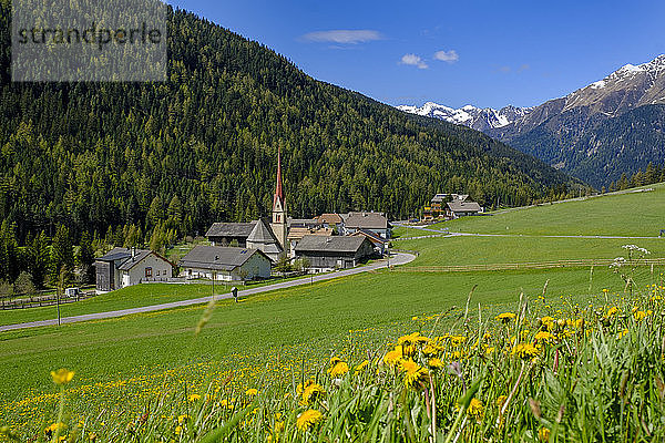 Italien  Südtirol  Stifte  Frühlingswiese vor dem Bergdorf am Penser Joch